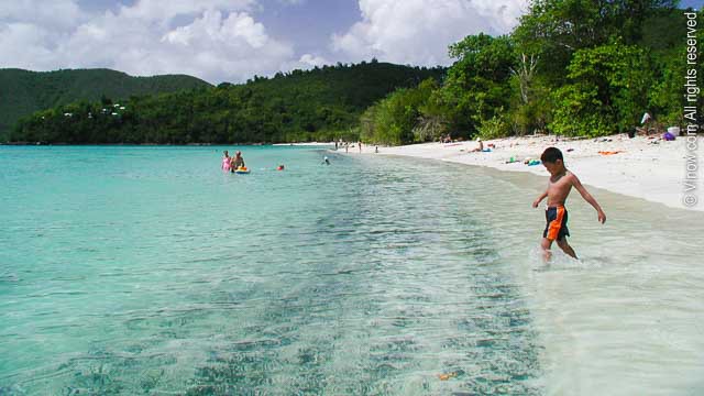 Maho Bay St John Beaches Virgin Islands